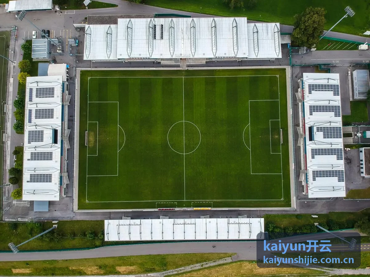 kaiyun开云品牌图标